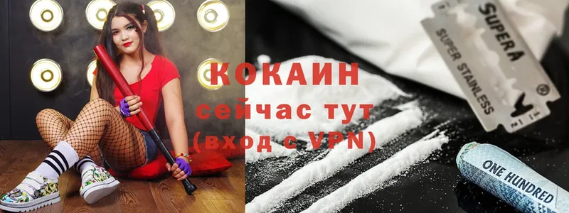 Cocaine 98%  blacksprut ссылка  Сланцы  где найти  